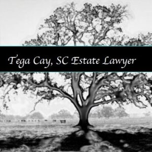 NJL Tree Tega Cay Estate Planning Lawyer