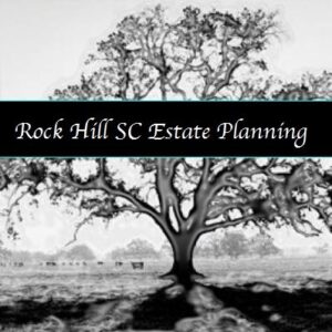 NJL Tree Rock Hill Estate Planning Lawyer